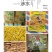 手工制作东北大豆制作精品腐竹段不挂浆零添加