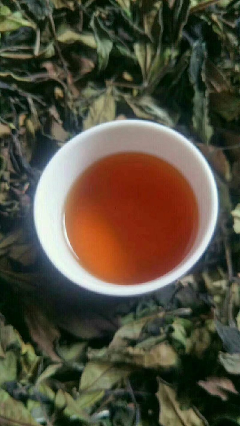 高山生态白茶