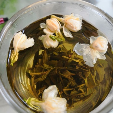 【喝好茶】2023新茉莉花茶批发一件代发500g包邮尝鲜