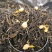 【喝好茶】2023新茉莉花茶批发一件代发500g包邮尝鲜