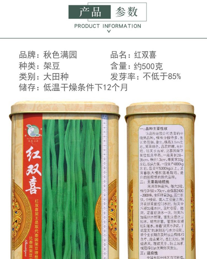 大田菜园高产易种架豆抗病中晚熟豆角种子