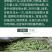 大田菜园高产易种架豆抗病中晚熟豆角种子