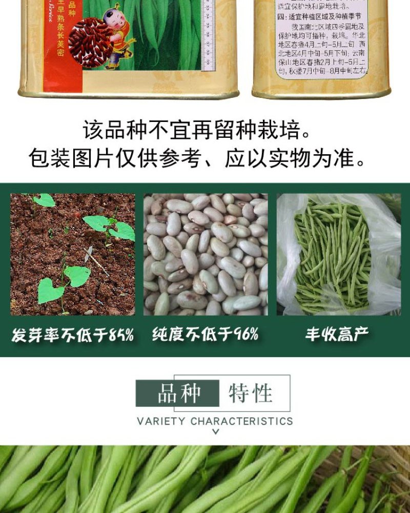 大田菜园高产易种架豆抗病中晚熟豆角种子