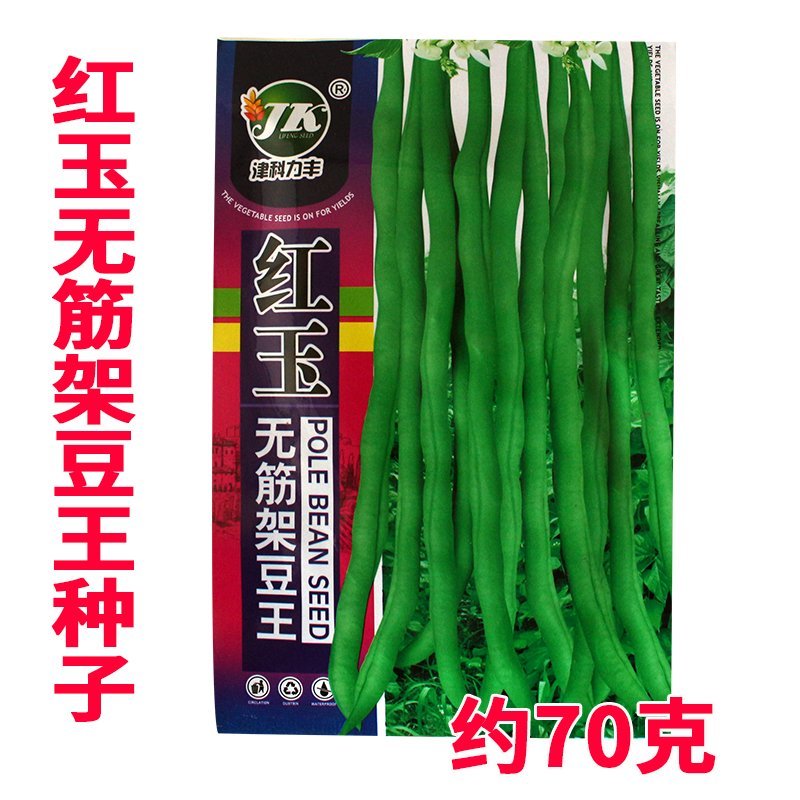 大田菜园高产易种肉厚中熟无筋架豆角种子