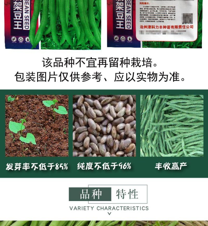 大田菜园高产易种肉厚中熟无筋架豆角种子