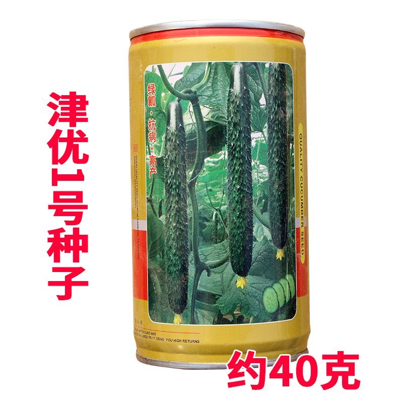 大田菜园高产易种杂交清香脆嫩黄瓜种子