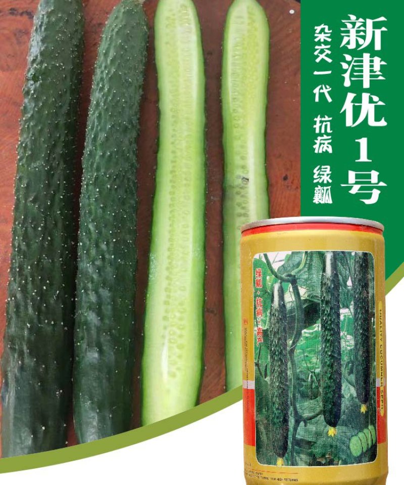 大田菜园高产易种杂交清香脆嫩黄瓜种子