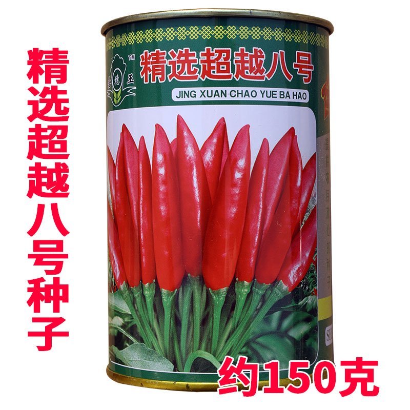 大田菜园高产易种抗病抗重茬朝天椒种子