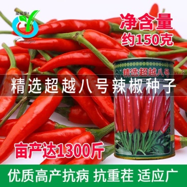 大田菜园高产易种抗病抗重茬朝天椒种子