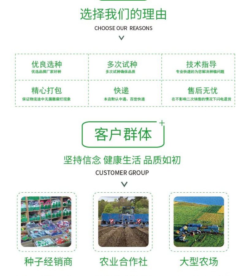 大田菜园高产易种抗病抗重茬朝天椒种子