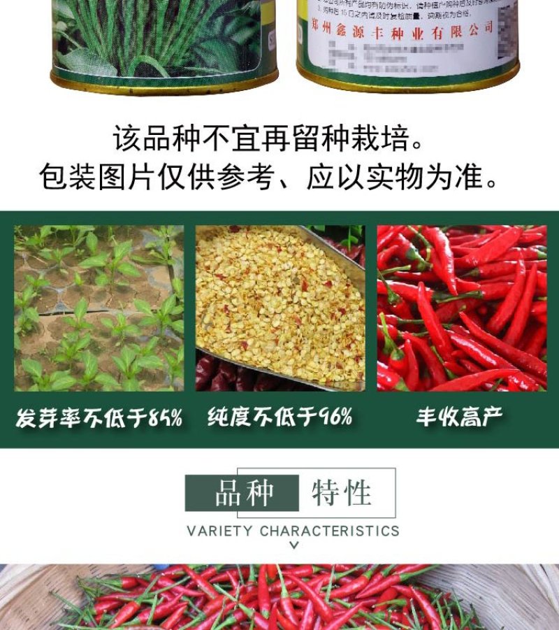 大田菜园高产易种抗病抗重茬朝天椒种子