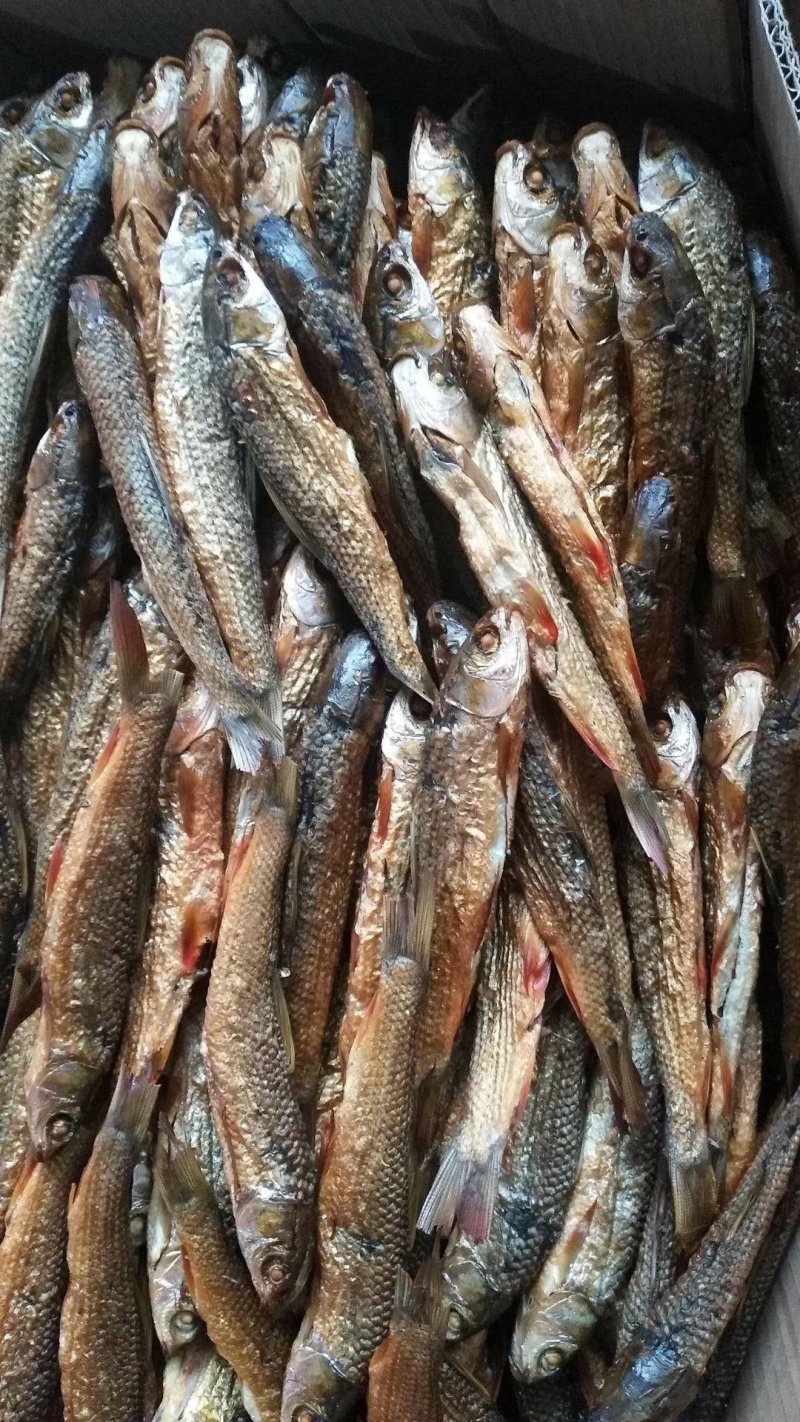 湖南干鱼火焙鱼烟熏鱼干