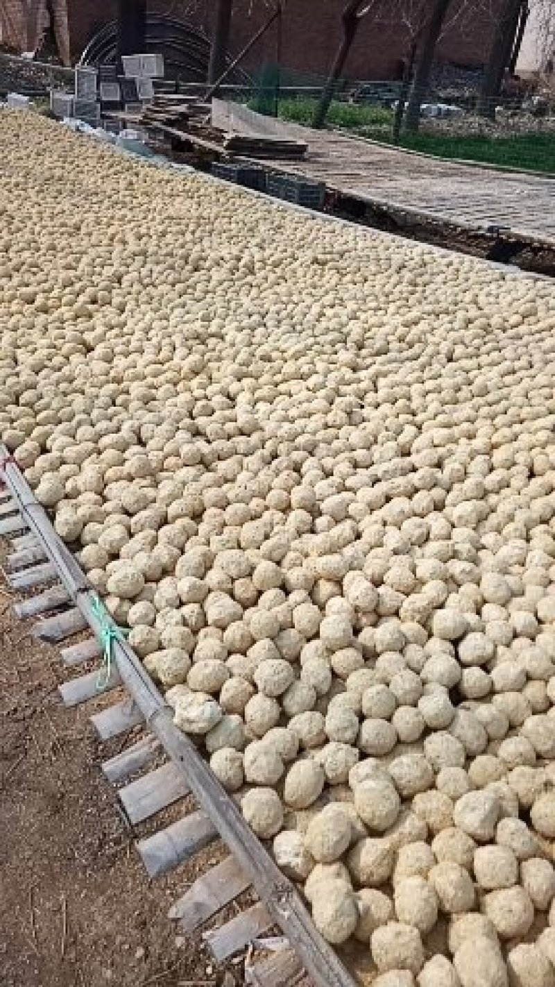 河南变蛋双黄蛋五香变蛋大量出售价格随行就市