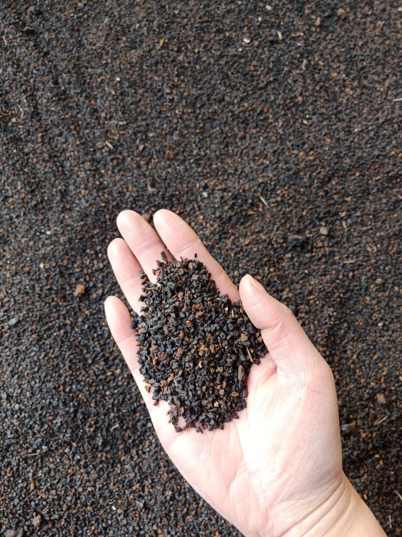 【包邮】桦树茸黑晶颗粒桦褐孔菌黑精