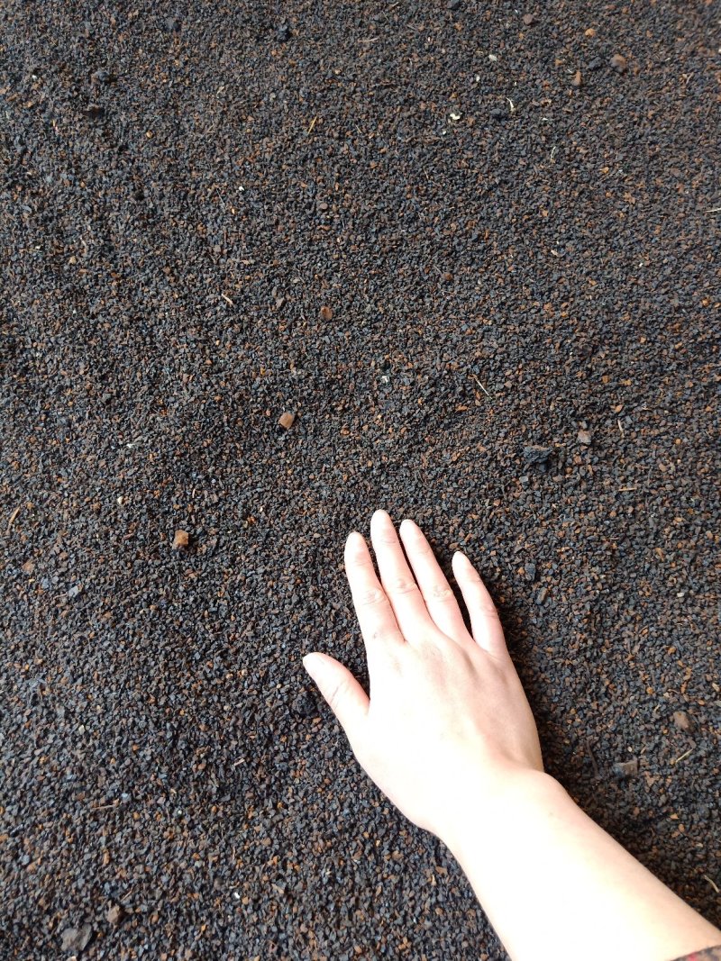 【包邮】桦树茸黑晶颗粒桦褐孔菌黑精