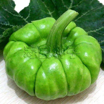 姜柄瓜丫丫瓜南瓜黑色棕黄色特菜特产农家非转基因基地蔬菜种