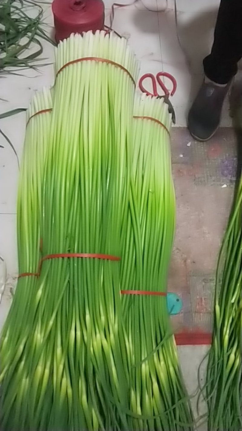 蒜苔