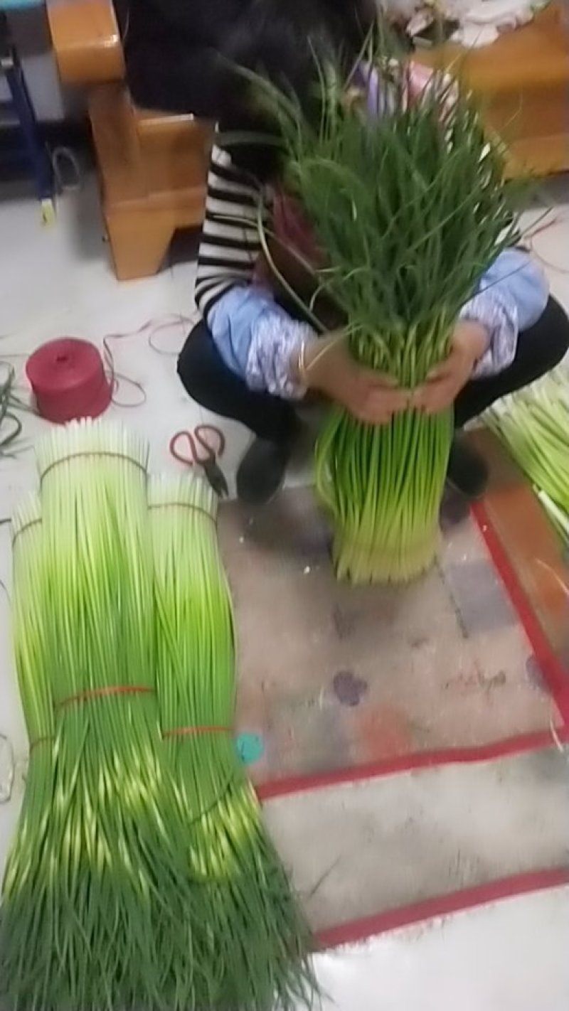 蒜苔