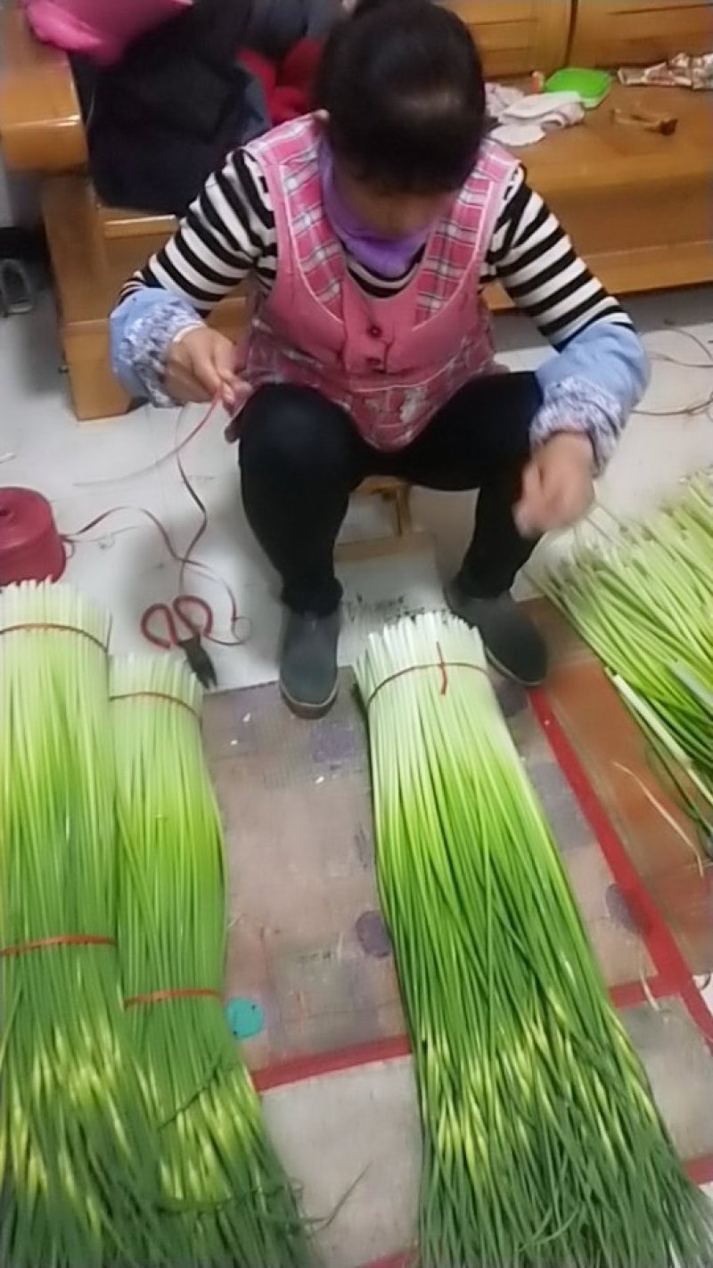 蒜苔