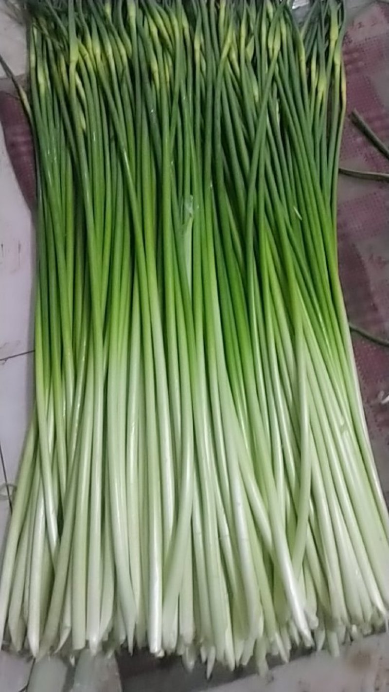 蒜苔
