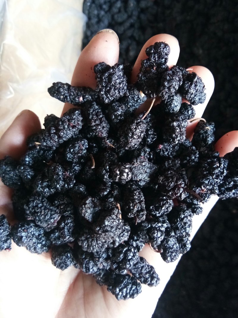 桑葚干食用天然无泥沙免洗~药用干净中药材批发零售