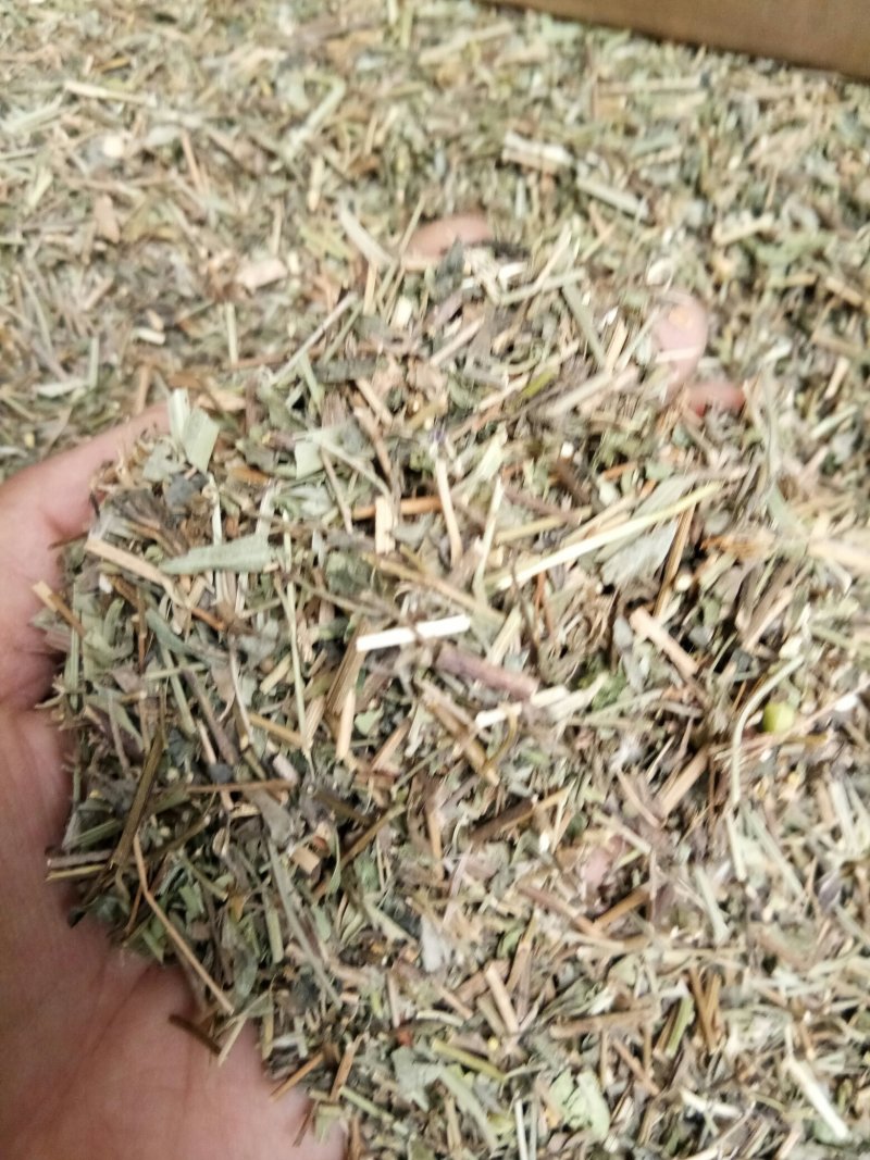 铁线透骨草透骨草狗肠草干净无杂一公斤起包邮到家