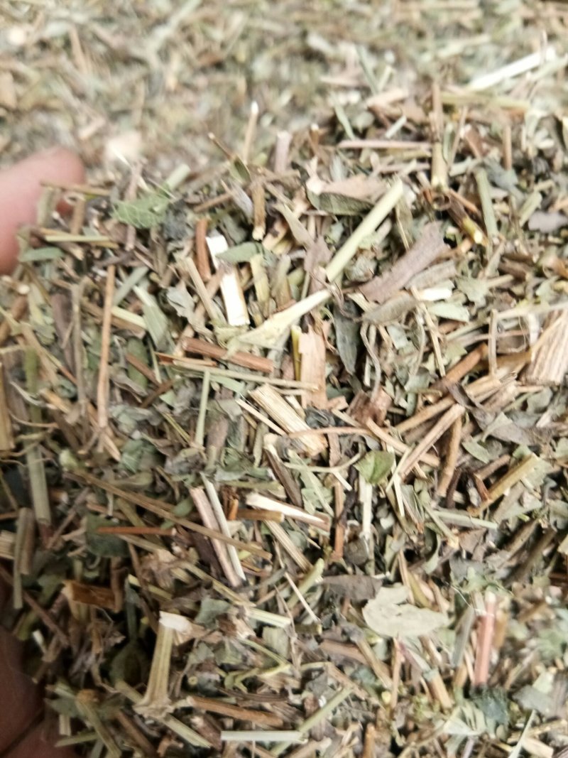 铁线透骨草透骨草狗肠草干净无杂一公斤起包邮到家