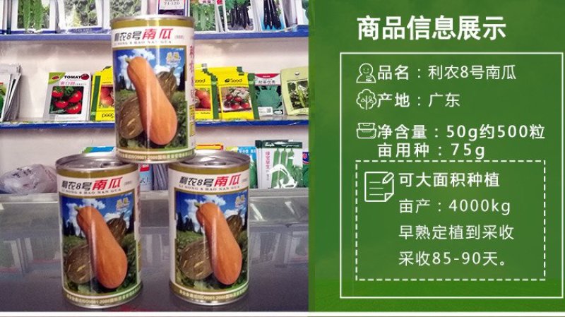 长板栗蜜本南瓜种子高产
