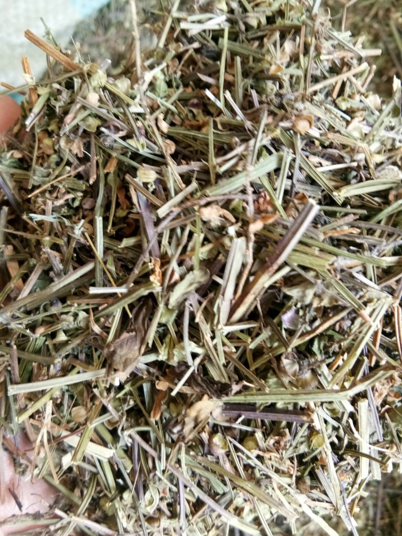 半枝莲无杂干净实拍图量大从优一公斤起