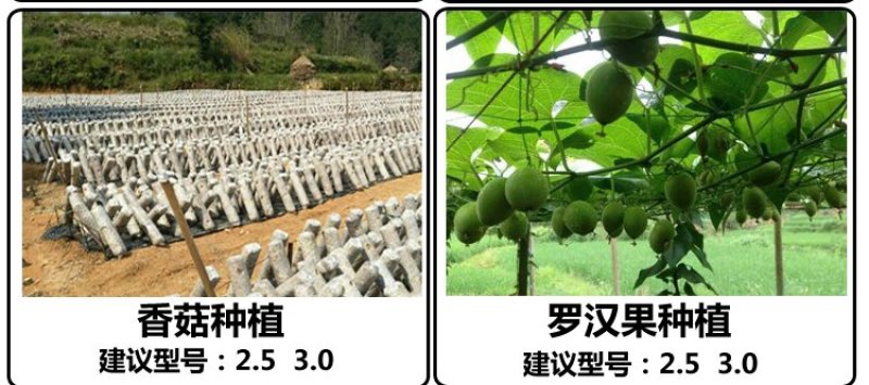 正品100%全新料塑钢线聚酯托幕线百香果葡萄大棚压膜线