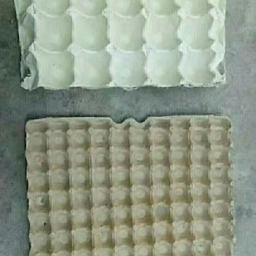 鸡蛋，鸭蛋纸蛋托3枚装大量供应
