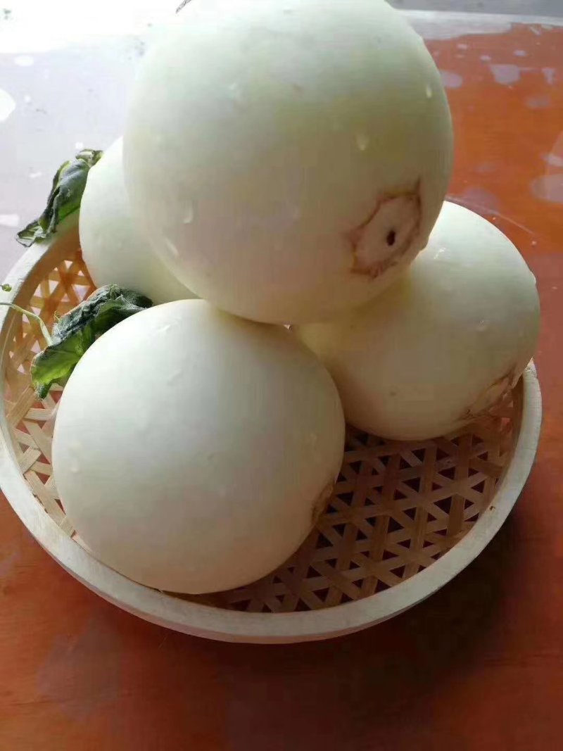 阎良甜瓜脆甜脆甜