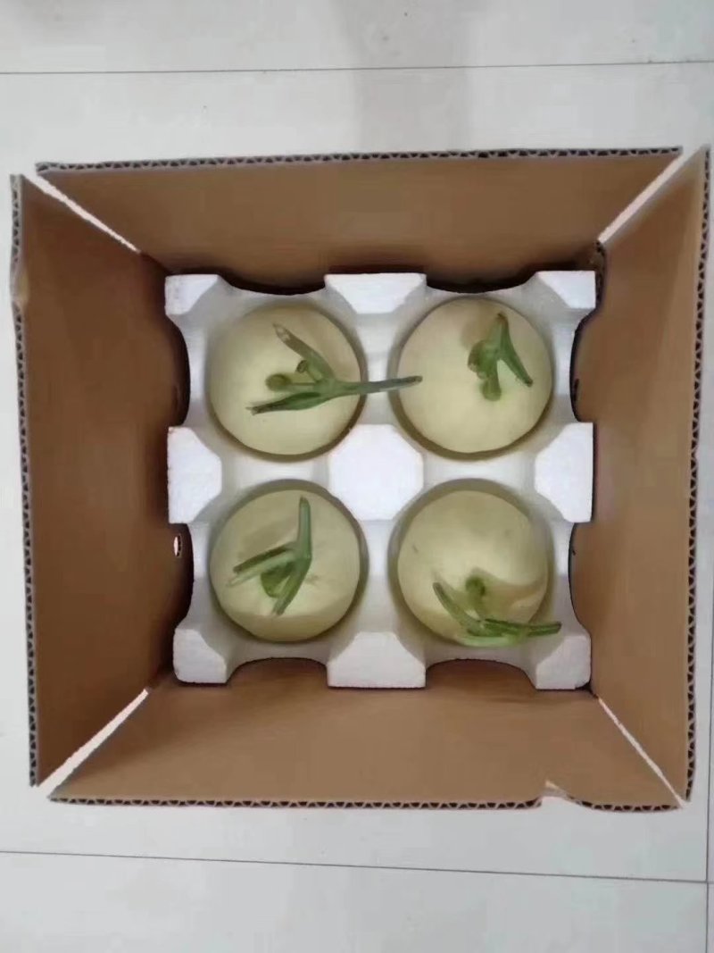 阎良甜瓜脆甜脆甜