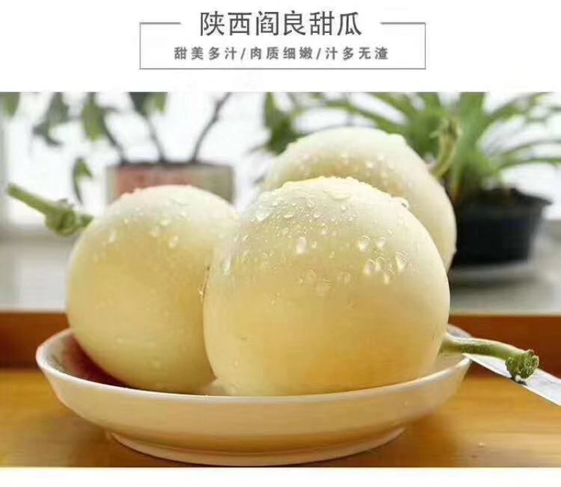 阎良甜瓜脆甜脆甜