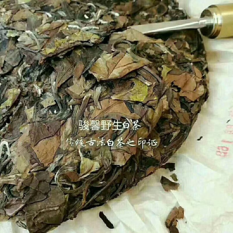 南山顶古树白茶
