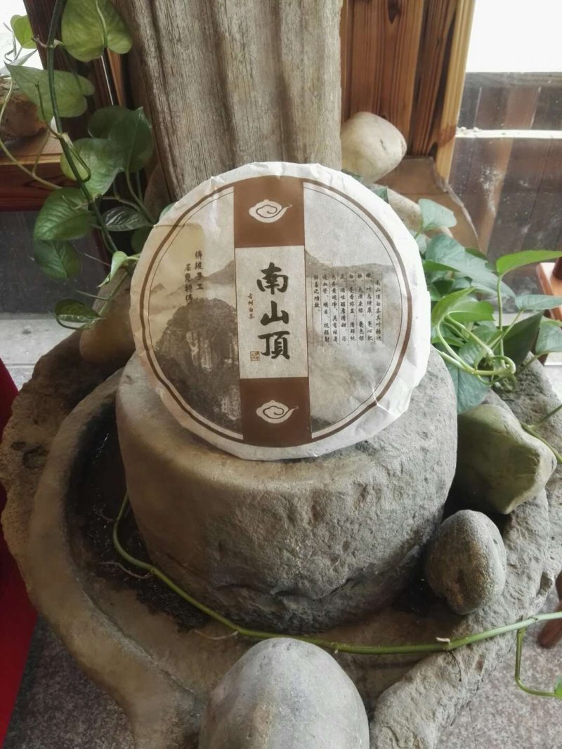 南山顶古树白茶