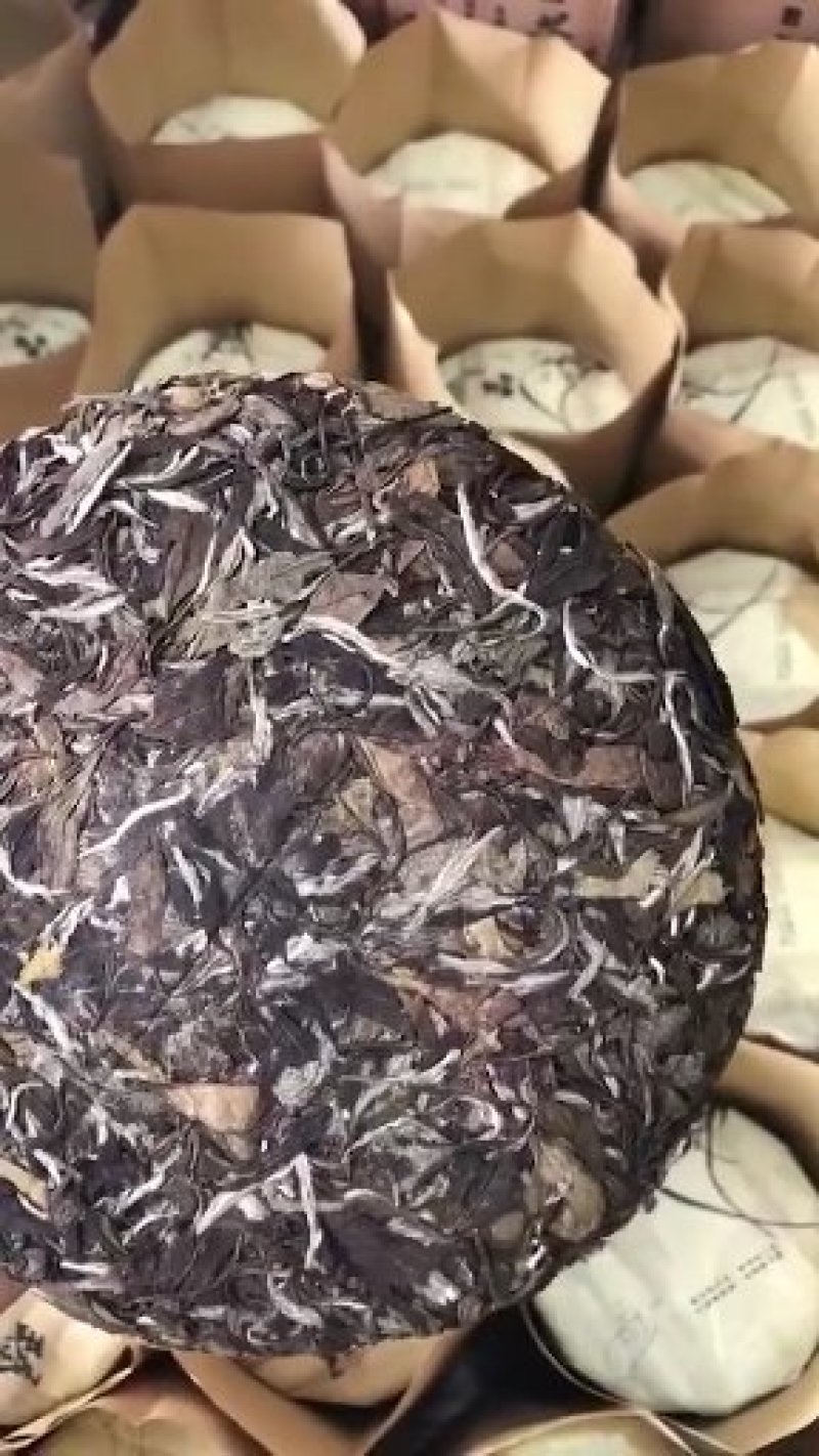 白茶饼高山区生态