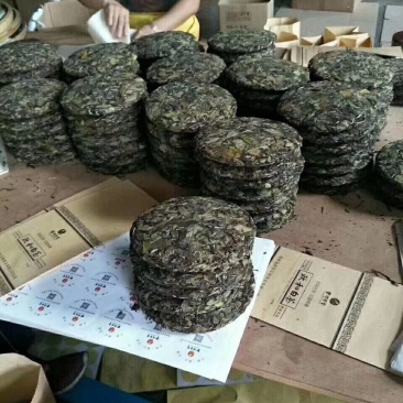 白茶饼高山区生态