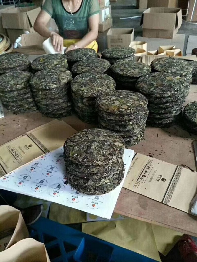 白茶饼高山区生态