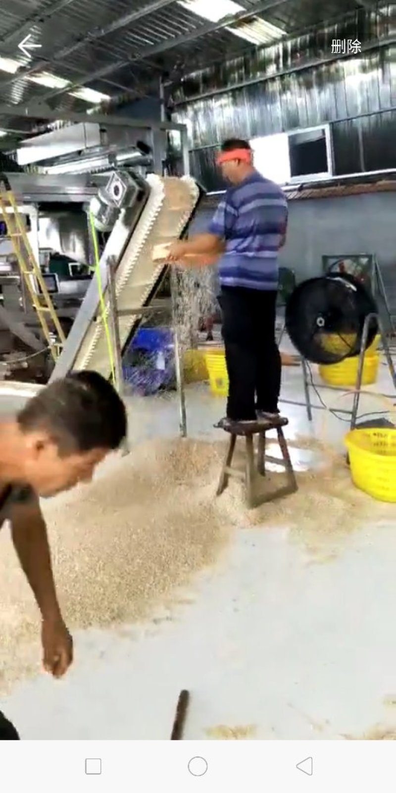 低盐虾皮