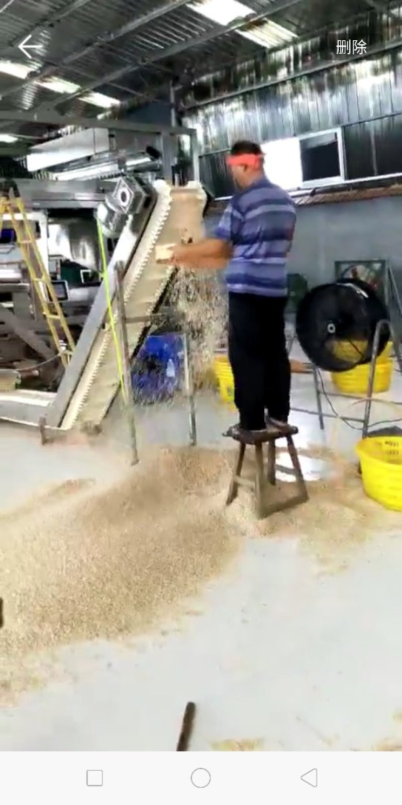 低盐虾皮