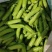 豌豆荚