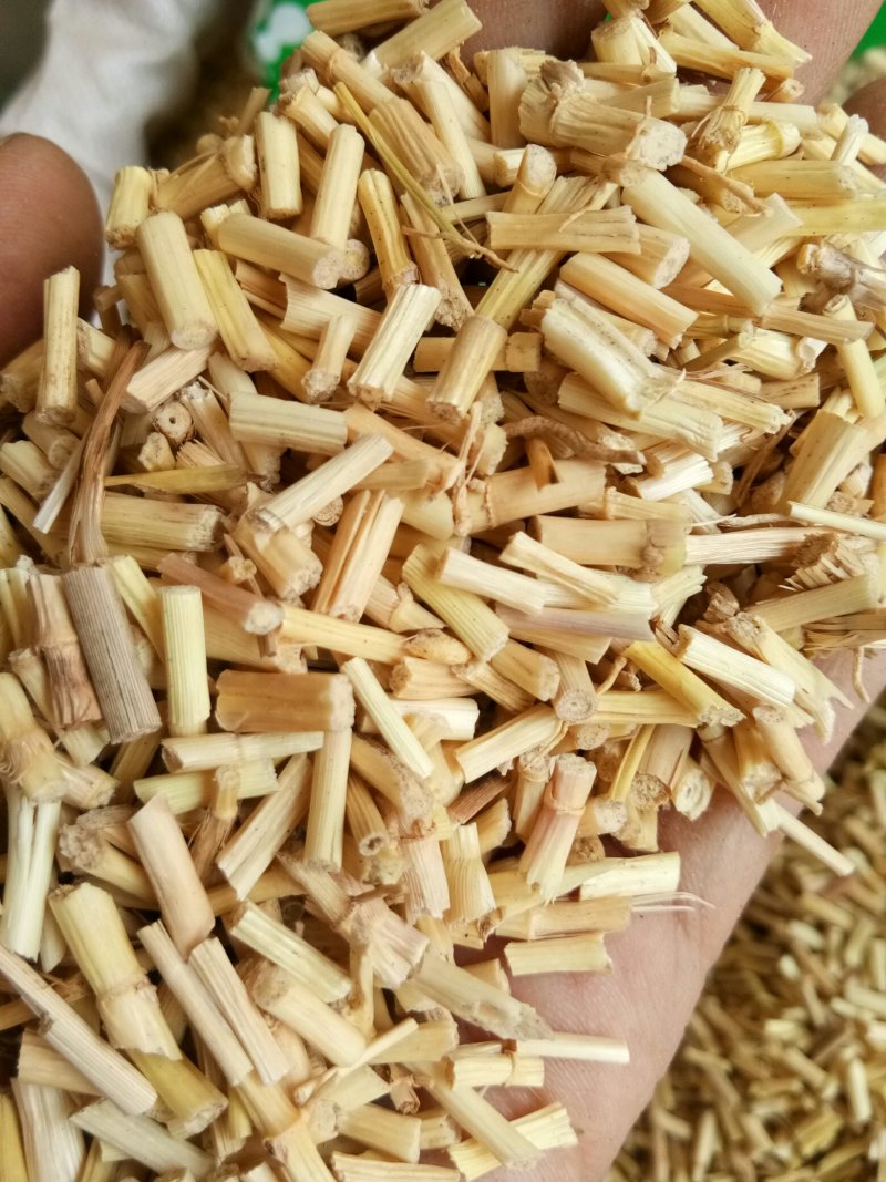白茅根野生无硫干品白毛根甜草根坚草根一公斤起发货