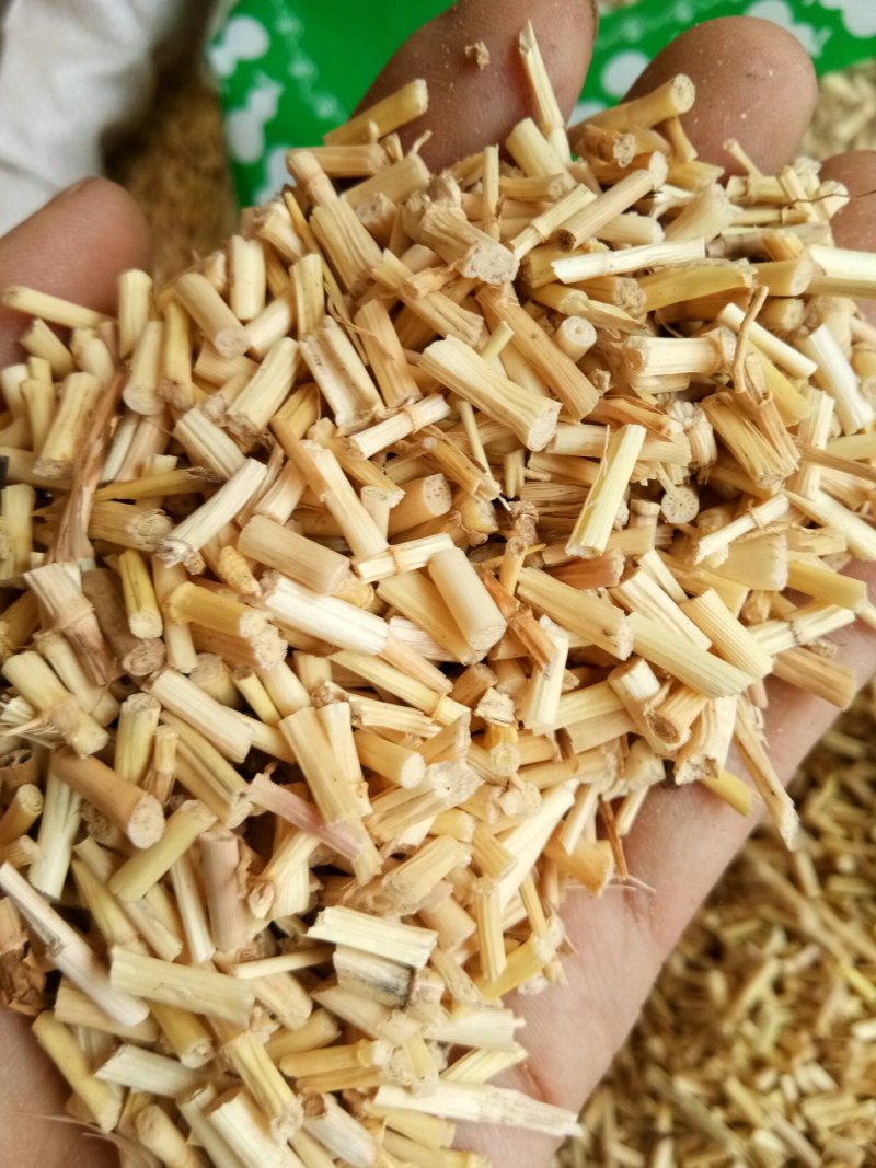 白茅根野生无硫干品白毛根甜草根坚草根一公斤起发货