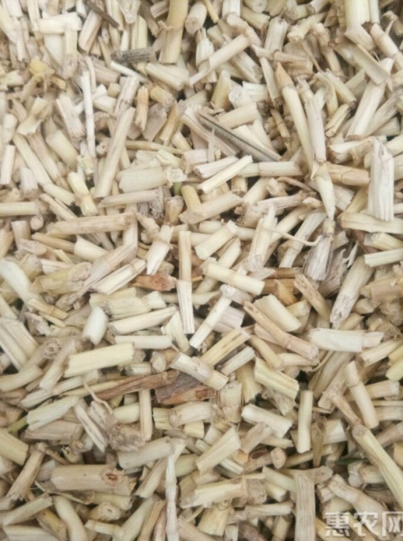 白茅根野生无硫干品白毛根甜草根坚草根一公斤起发货