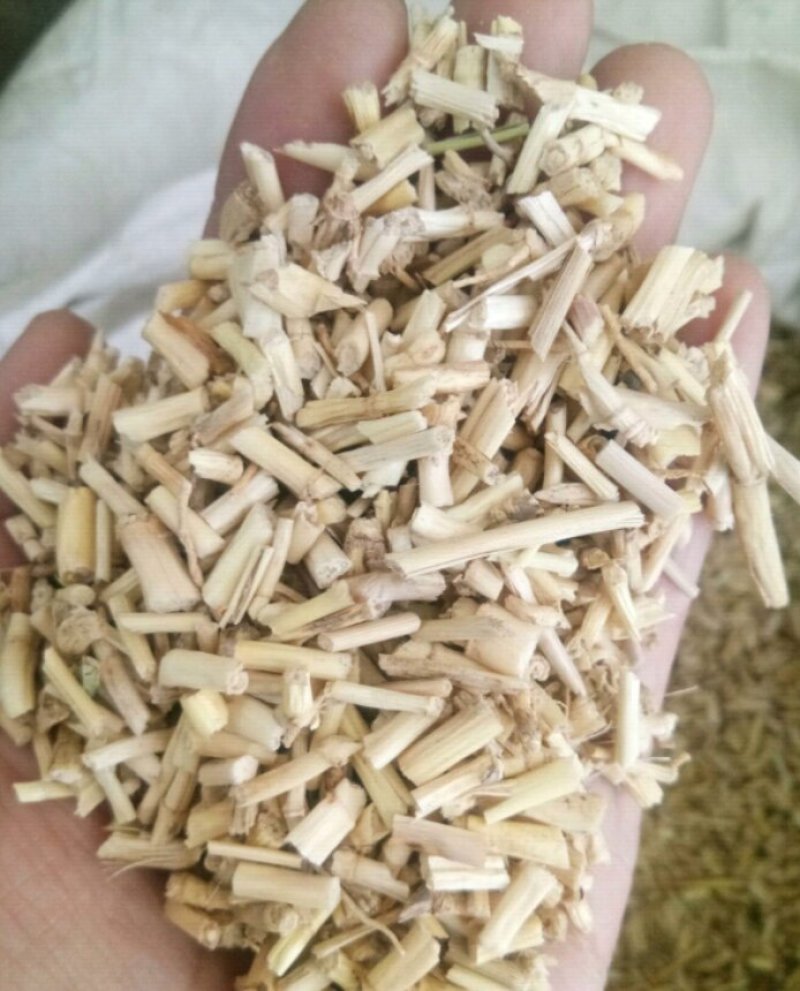白茅根野生无硫干品白毛根甜草根坚草根一公斤起发货