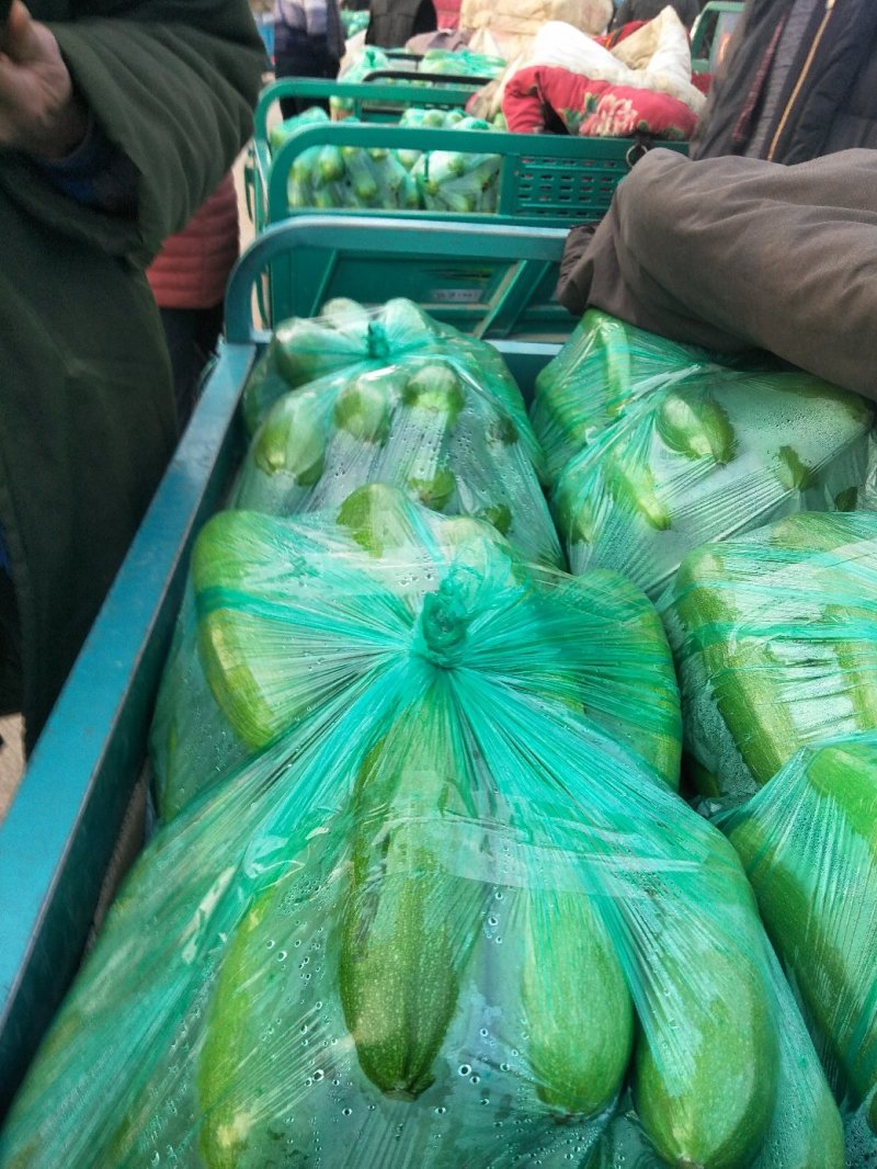 绿皮西胡芦