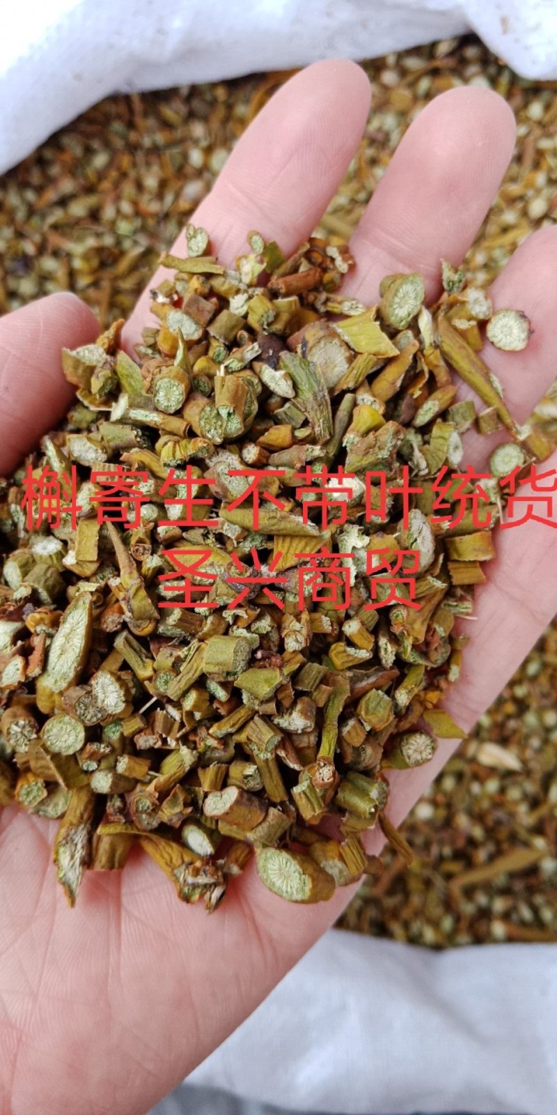 槲寄生东北产无硫中药材