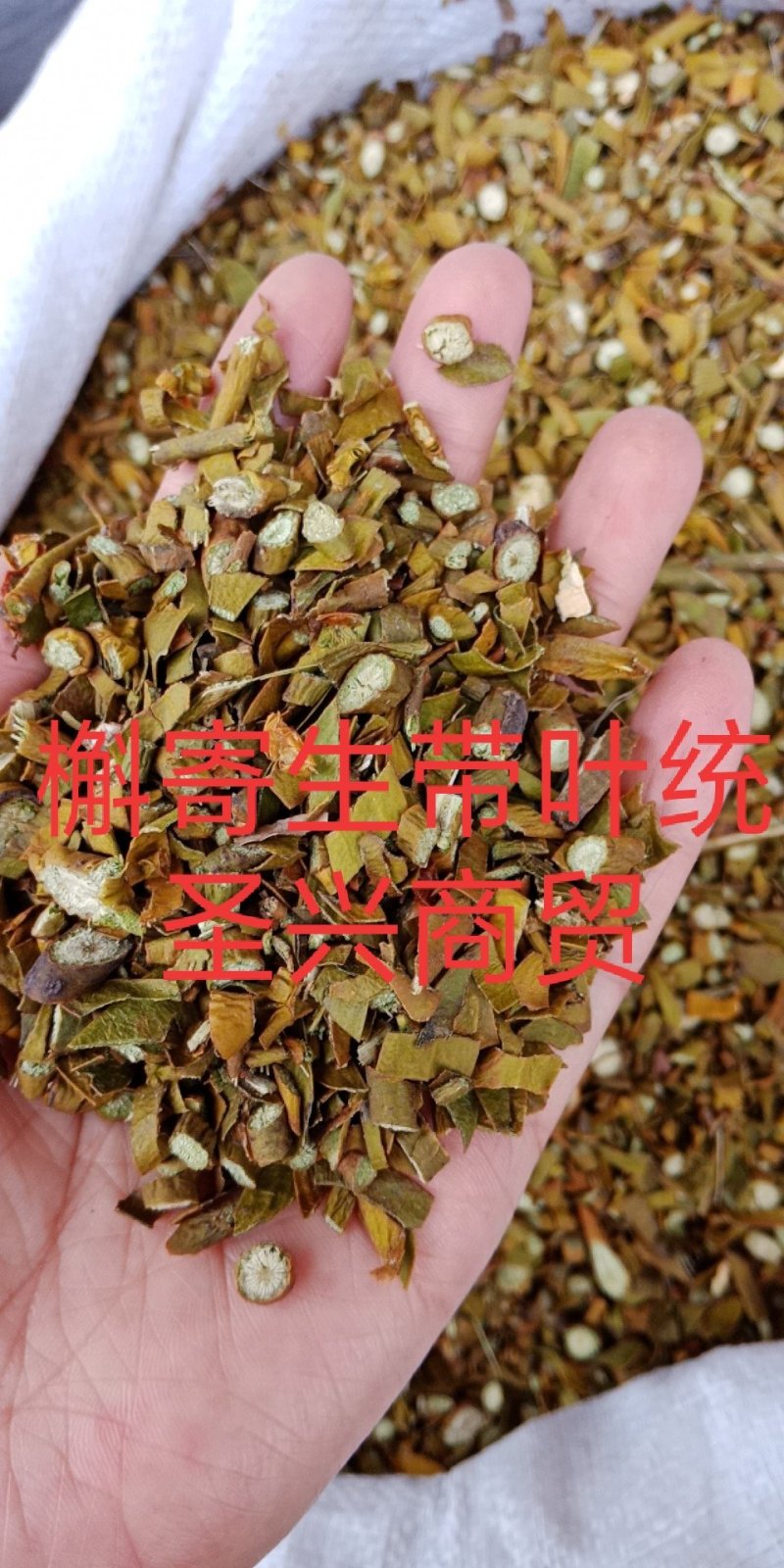 槲寄生东北产无硫中药材