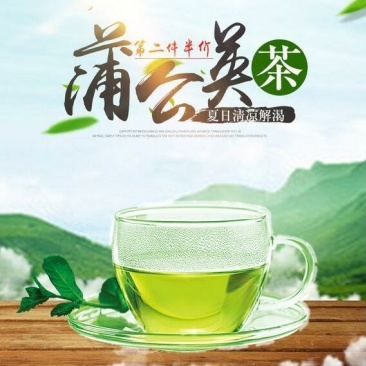 长白山蒲公英根茶精美礼盒装看好联系店主